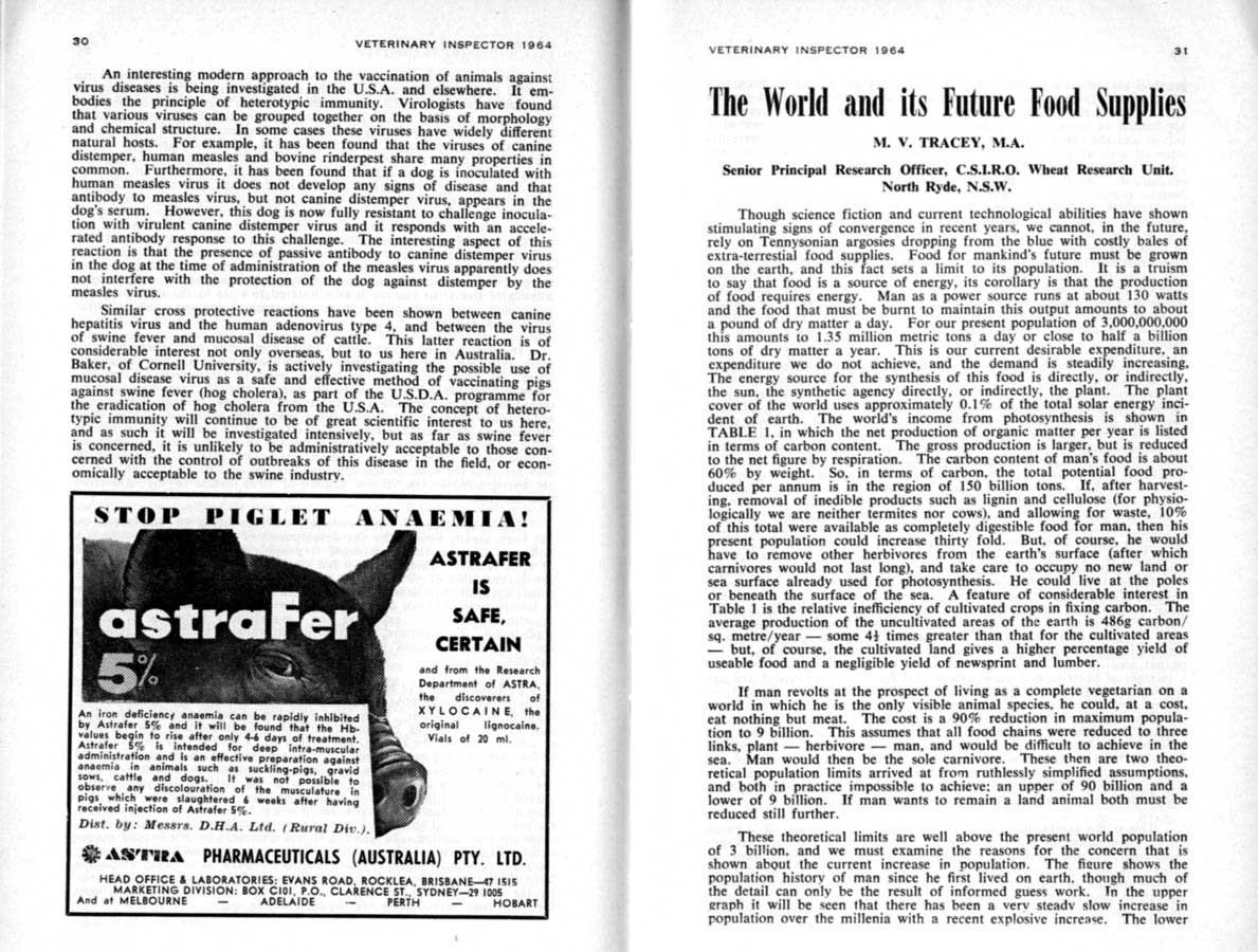 1964 Page 30 31